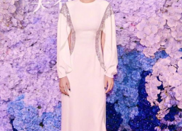 明星幻想杨幂是第几章